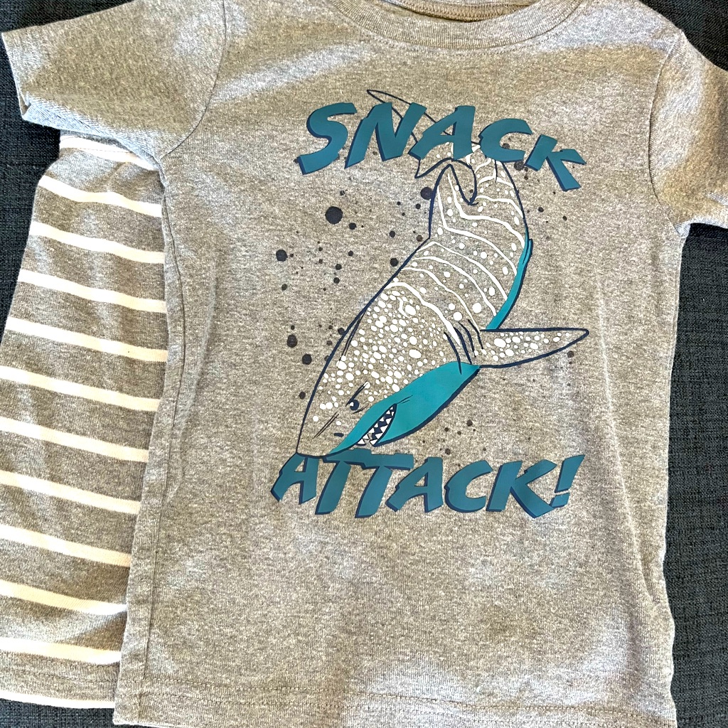 Carter’s 4t Short Sleeve And Shorts Pajama Set
